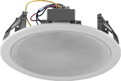 [2556] External Speaker (Flush Mount Type), NVS-823R